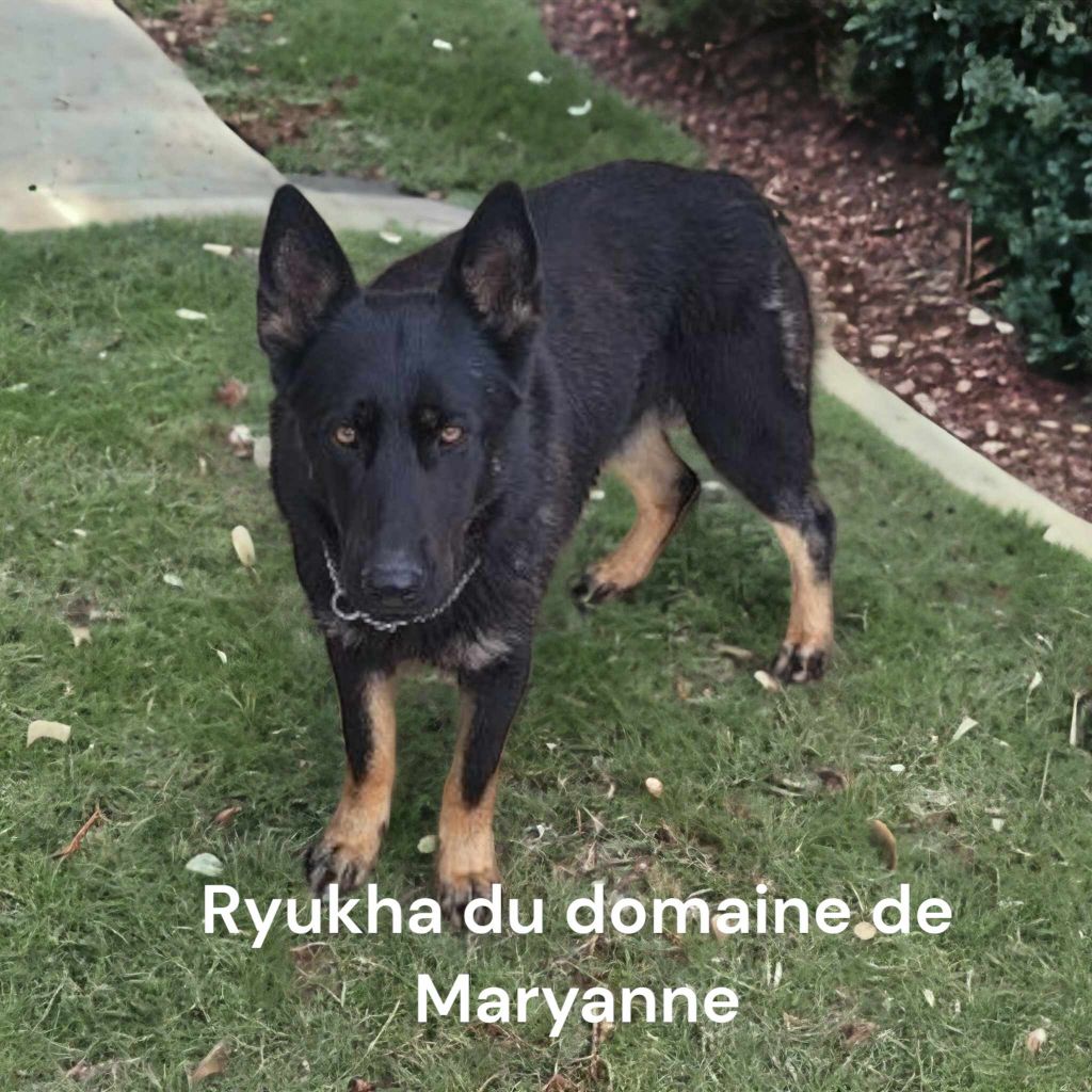 Ryukha Du domaine de maryanne