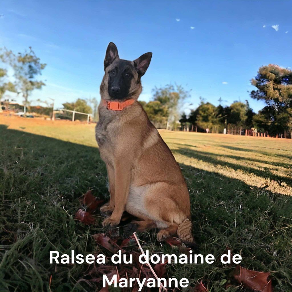 Ralsea Du domaine de maryanne