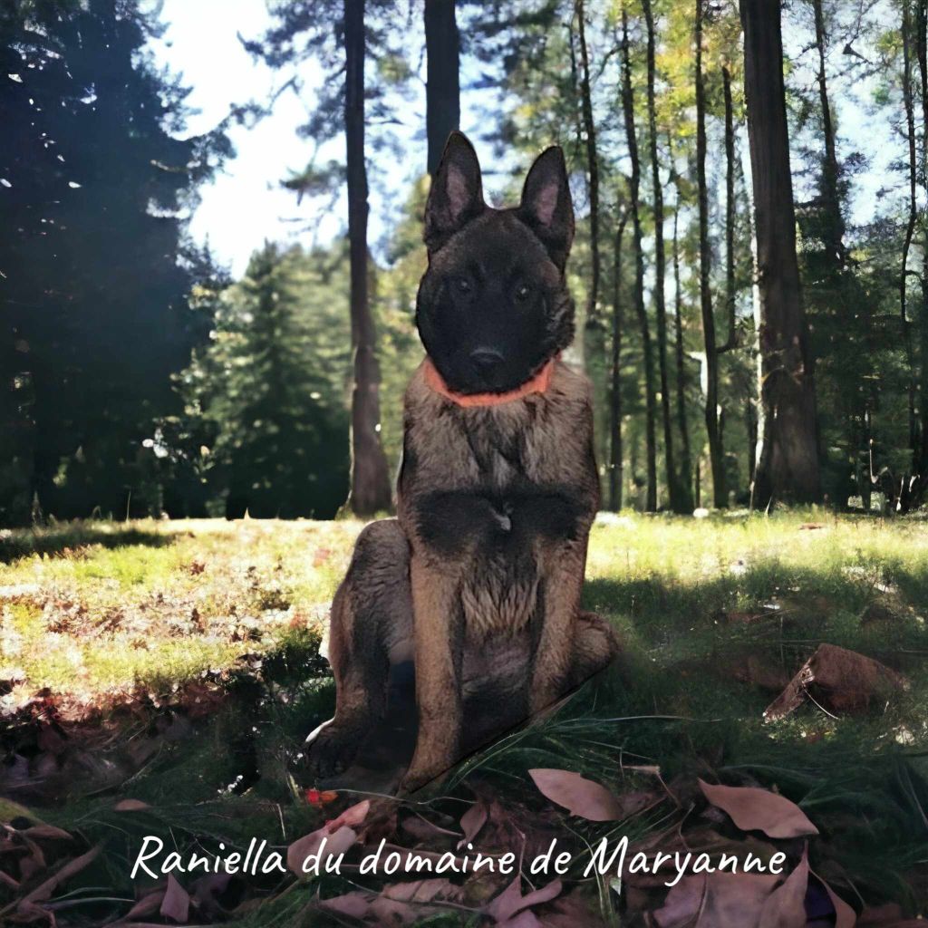 Raniella Du domaine de maryanne