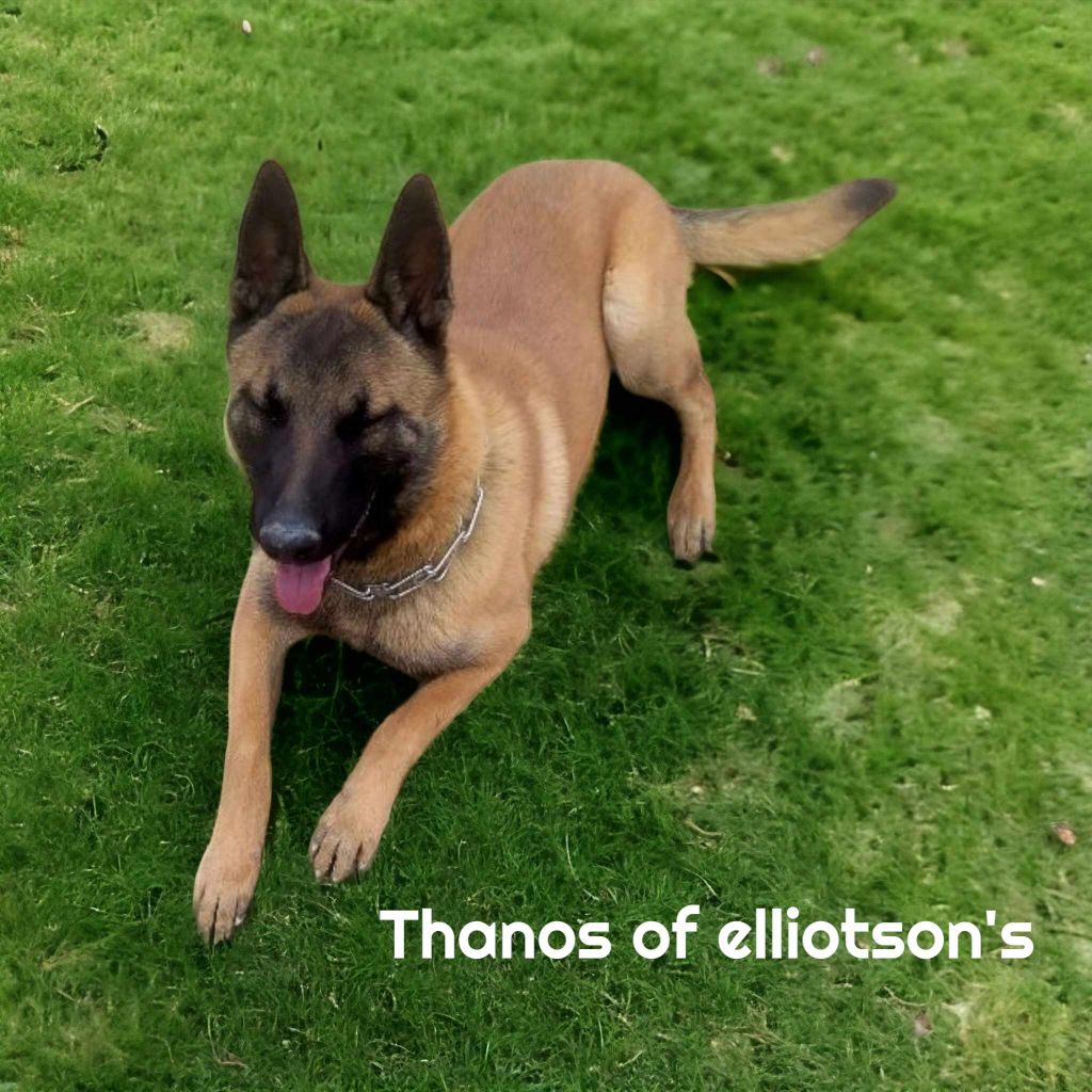 Thanos of elliotson's