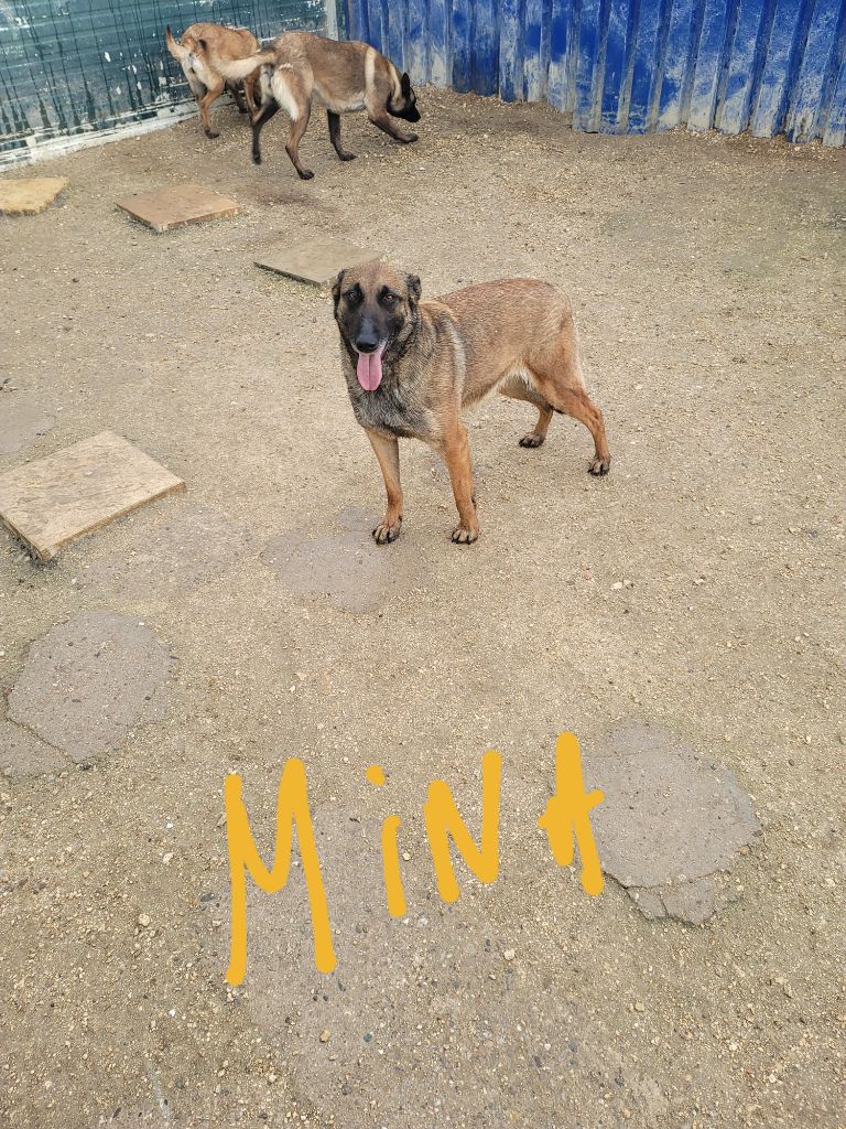 Mina Du domaine de maryanne