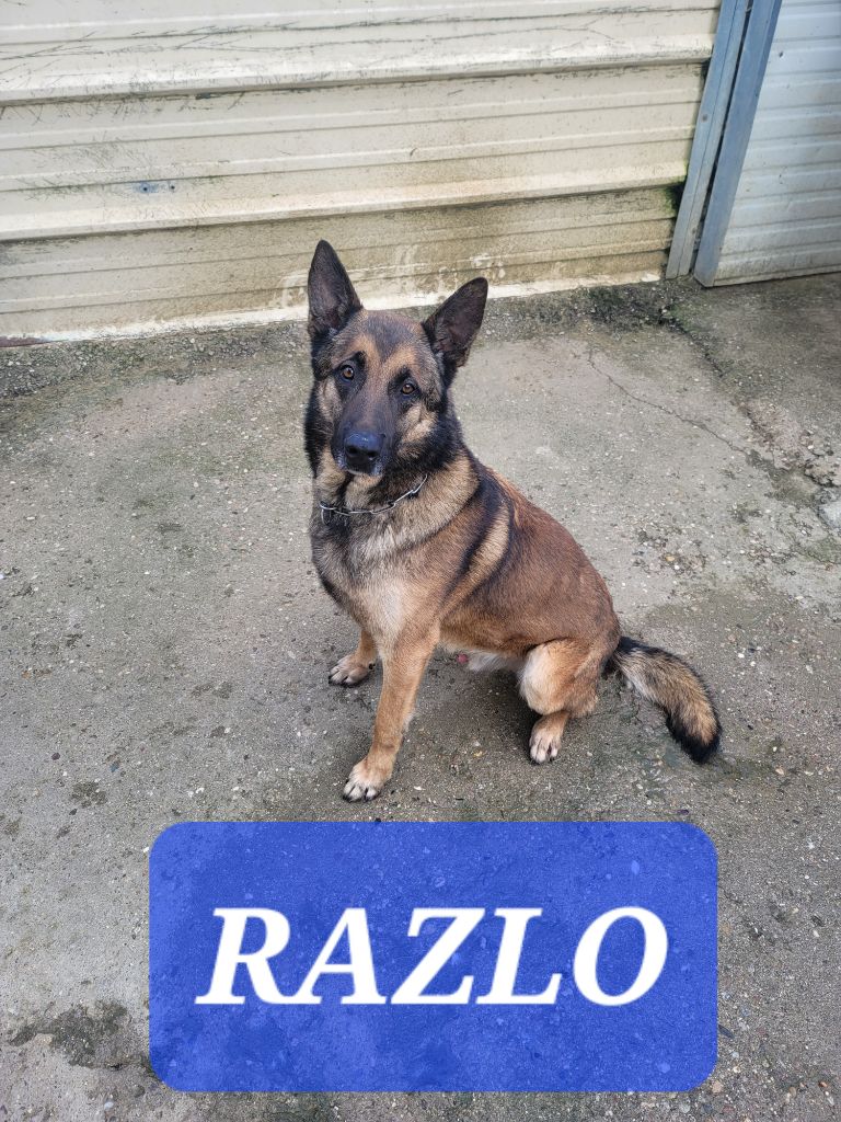 Razlo Du domaine de maryanne