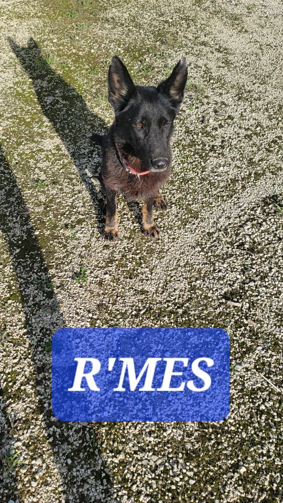 R'mess de la vallée du meisenbach