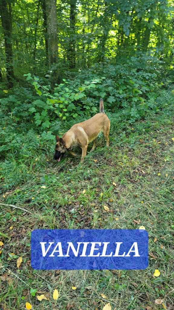 Vaniella Du domaine de maryanne