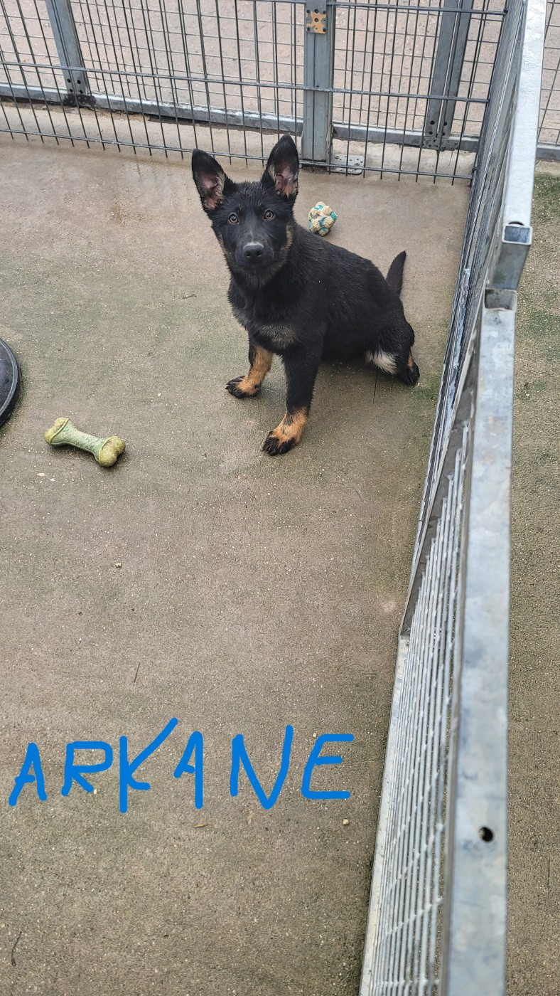 Arkane Du domaine de maryanne