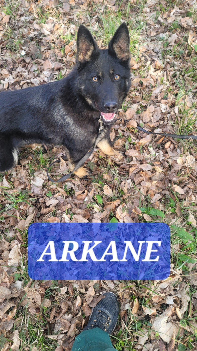 Arkane Du domaine de maryanne
