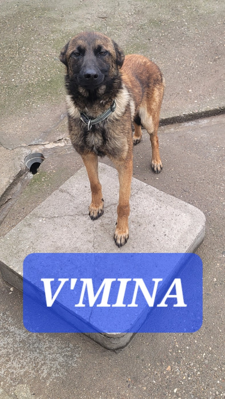 V'mina Du domaine de maryanne