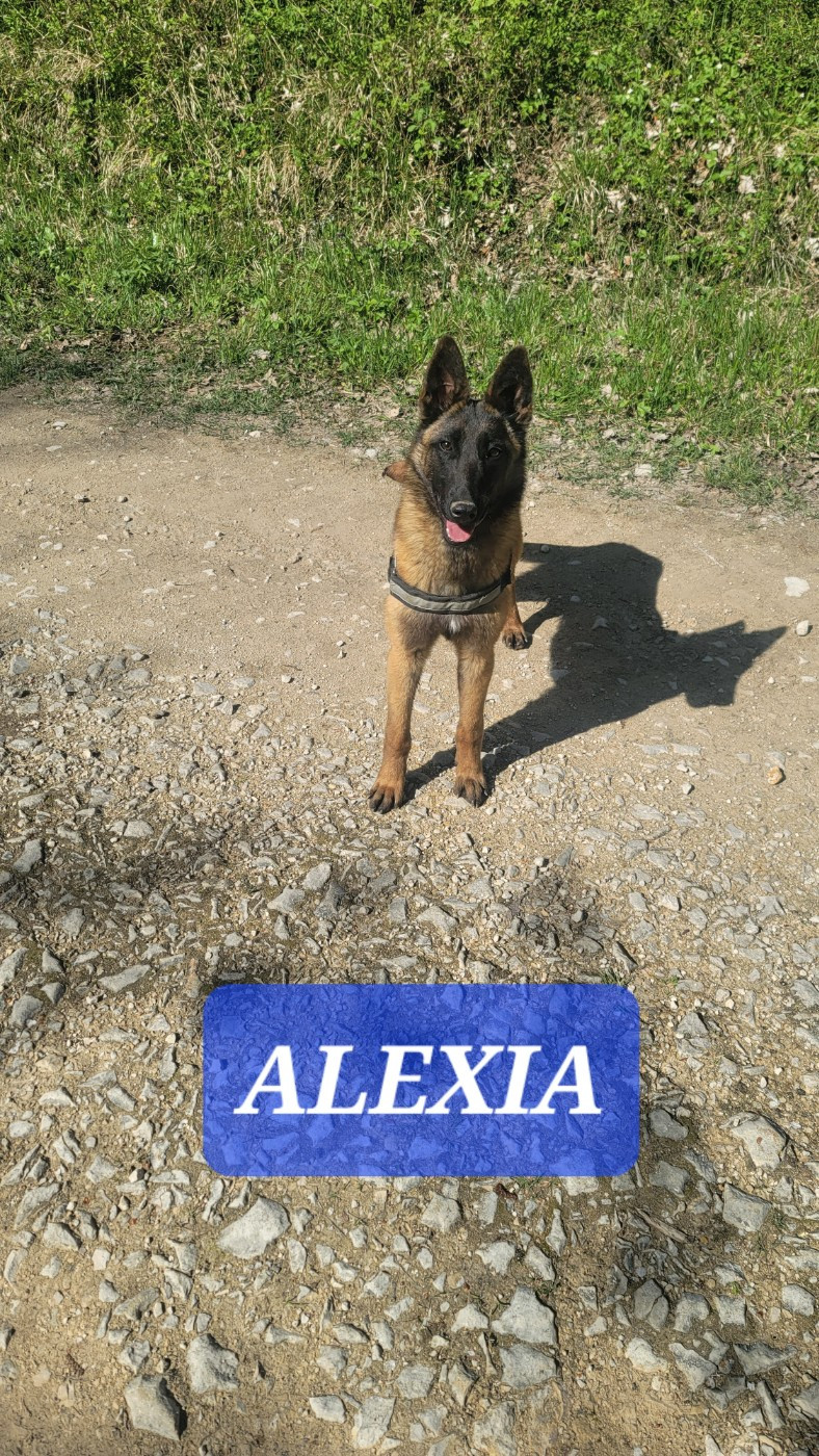 ALEXIA Du domaine de maryanne